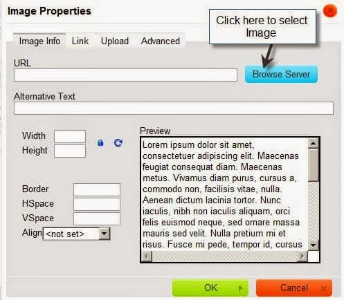 Inserting Image in Liferay Web content