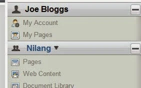 Liferay content section in Control Panel