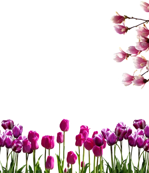 Create new maven Spring MVC Portlet Create new maven Spring MVC Portlet